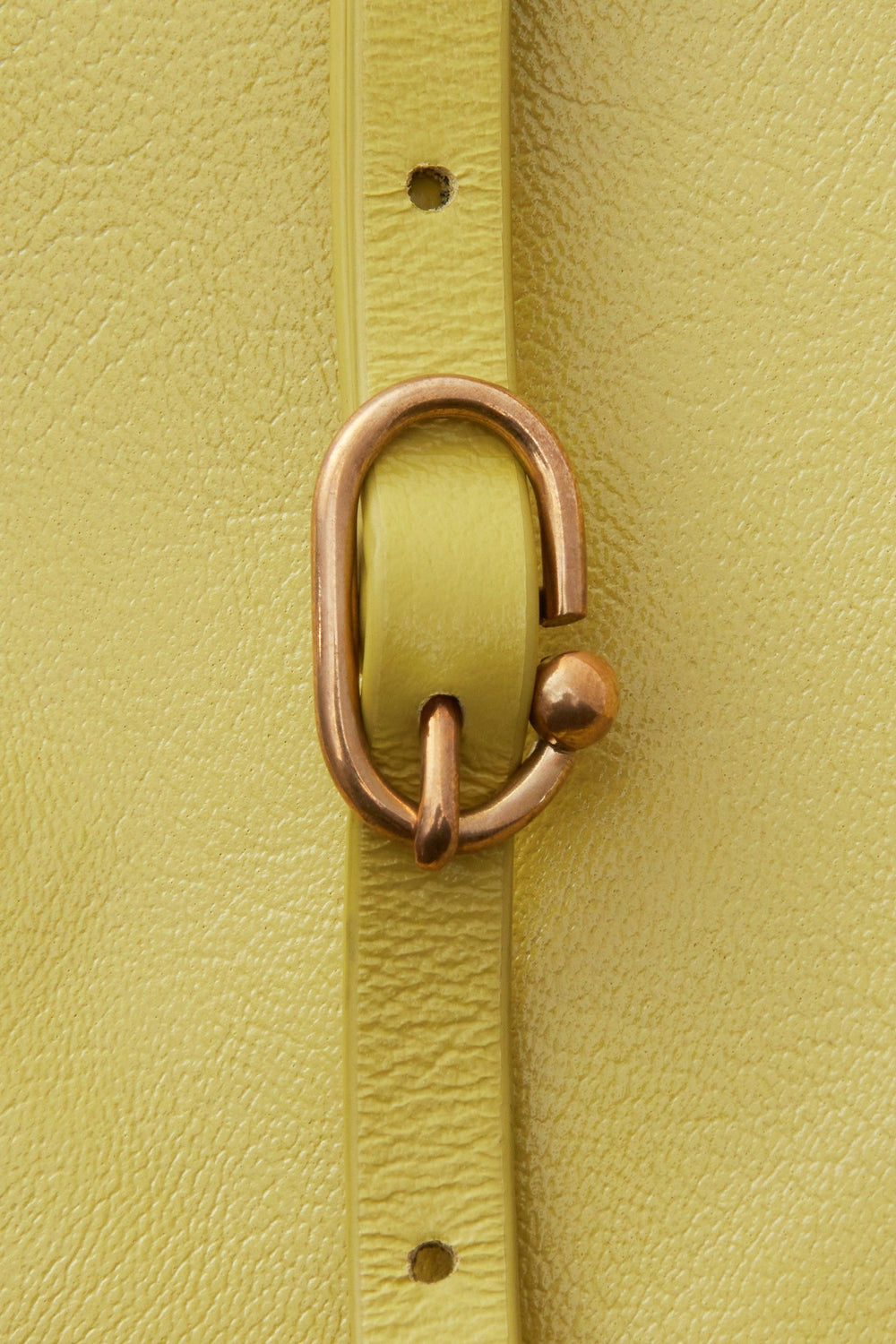 Rachel Comey Bags L'Appat Bag Citron